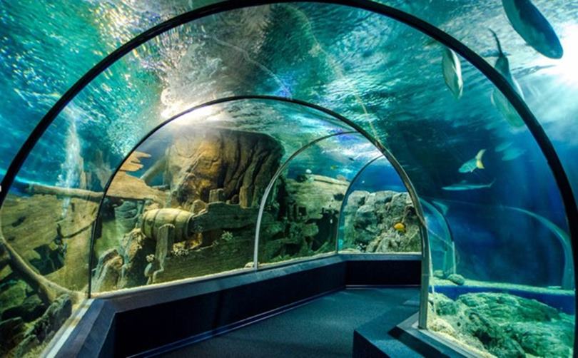 Океанариум Sochi Discovery World Aquarium